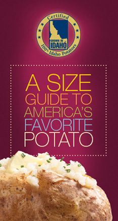 Size Guide Brochure